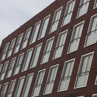 Witte-de-Withstraat vogelensangh