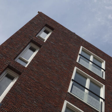Witte-de-Withstraat vogelensangh